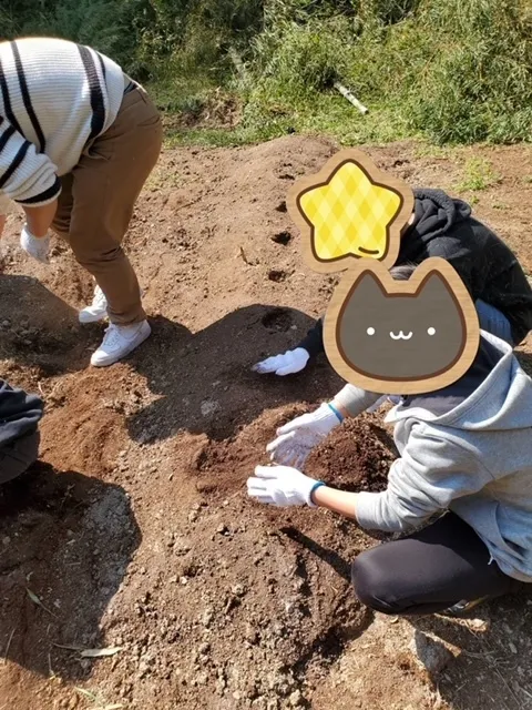 かぶとむしクラブ　番町/じゃがいもを植えました。