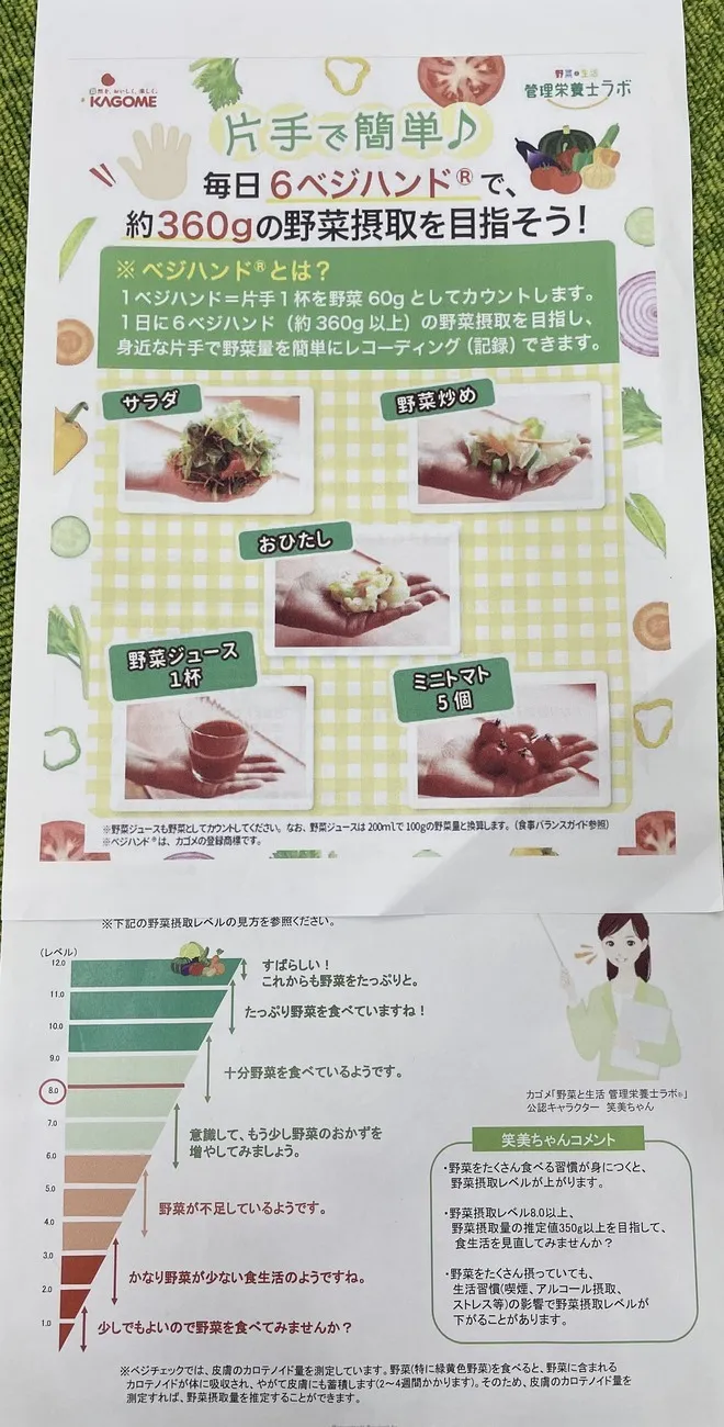 かぶとむしクラブ　番町/体内野菜チェックを行いました。