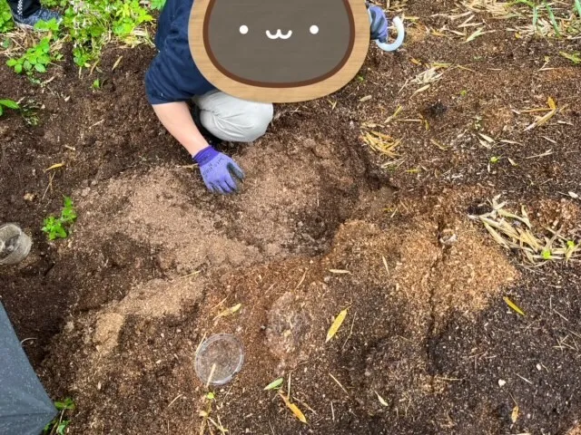 かぶとむしクラブ　番町/土の中から何が出てくる？