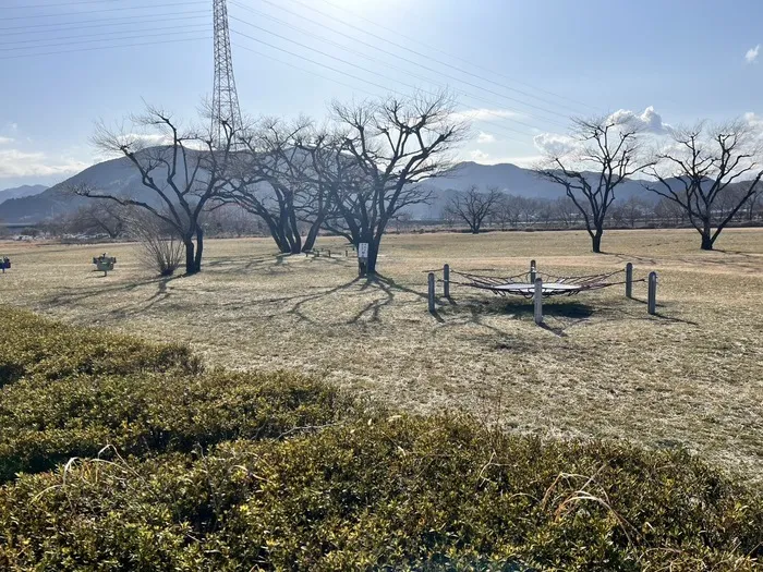 かぶとむしクラブ　番町/河川敷の遊具を利用して楽しみました。