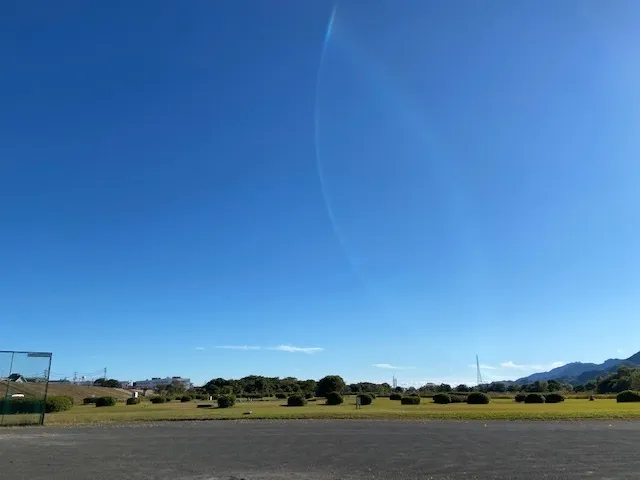 かぶとむしクラブ　番町/秋晴れの下で