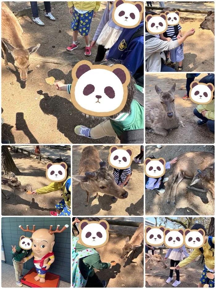 ウィズ・ユー近鉄八尾/奈良公園で鹿と仲良し！🦌🌳