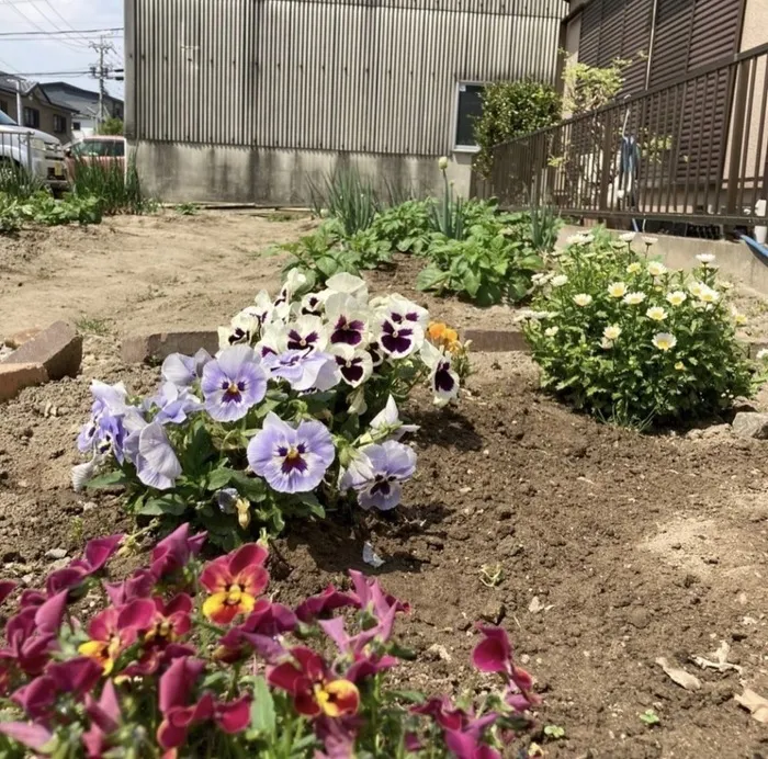 チャレンジClubチャンス/今日のチャンス村🌱🌱