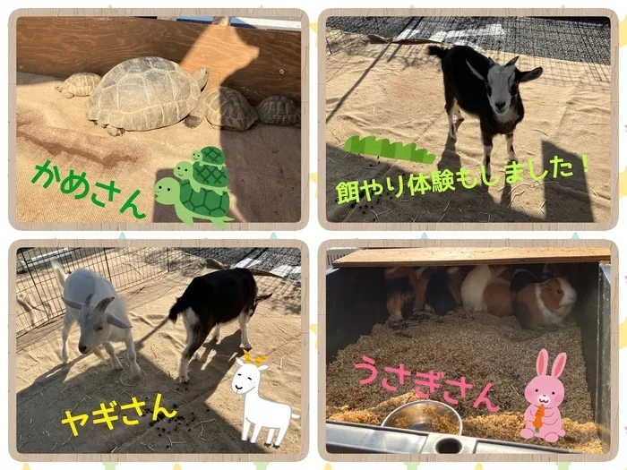 こころkids/🐢🐇🐑初‼️　外出イベント🐢🐇🐑