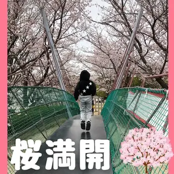 ナーシング有松校/🌸桜🌸満開
