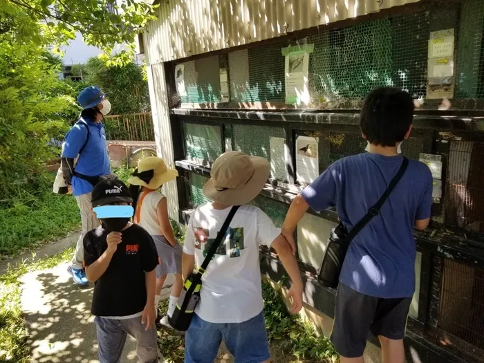 ふれあい児童発達支援・放課後等デイサービス　市川行徳教室/涼しい公園！