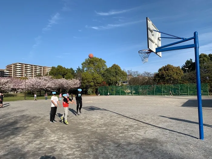 ふれあい児童発達支援・放課後等デイサービス　市川行徳教室/新しい公園