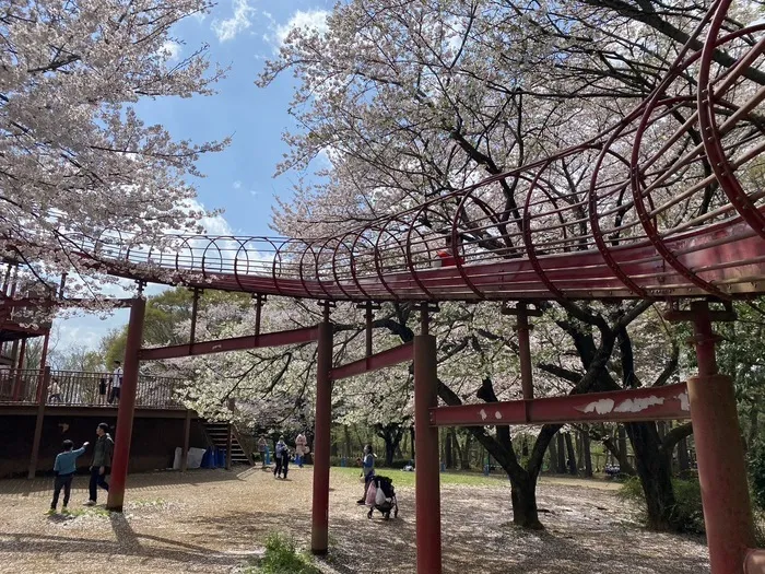 ふれあい児童発達支援・放課後等デイサービス　市川行徳教室/アンデルセン公園　滑り台