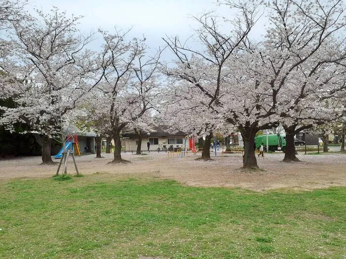 ふれあい児童発達支援・放課後等デイサービス　市川行徳教室/満開