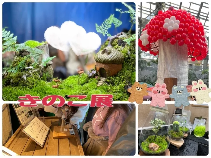 リールスメイト新大阪/キノコ展🍄