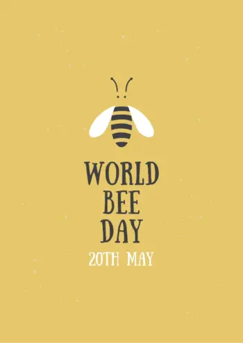 【ABA個別療育・プログラミング療育】bee. for kids/今日は「世界ミツバチの日」です🐝