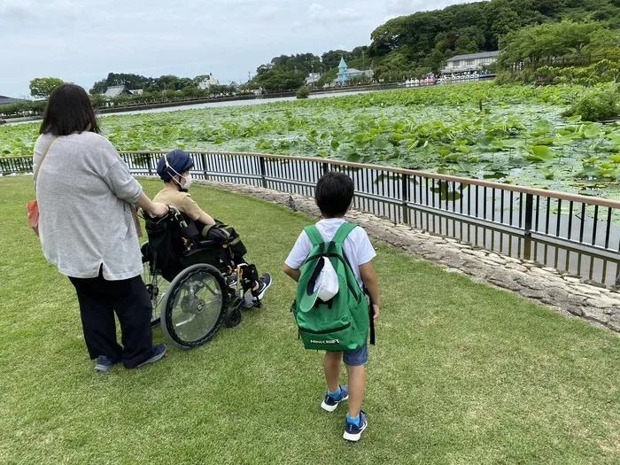 はれのひ/蓮華寺池公園♪