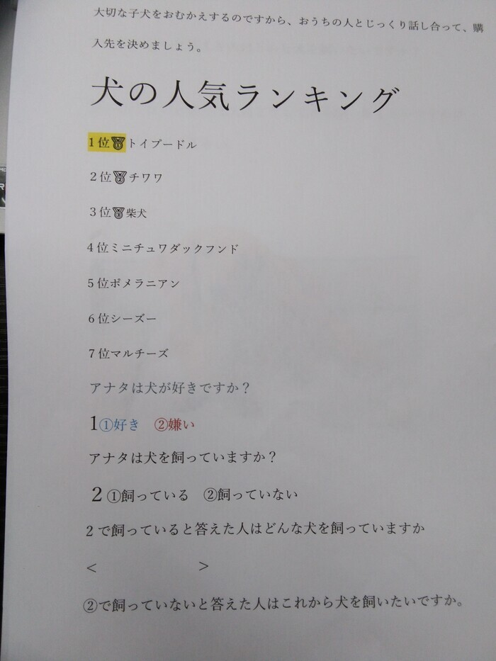 En Able 就労準備型放課後等デイサービス 空きあり 放課後等デイサービス 高知市のブログ タイピング練習 をしました Litalico発達ナビ