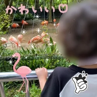 en able　(就労準備型放課後等デイサービス)/のいち動物公園に行きました！