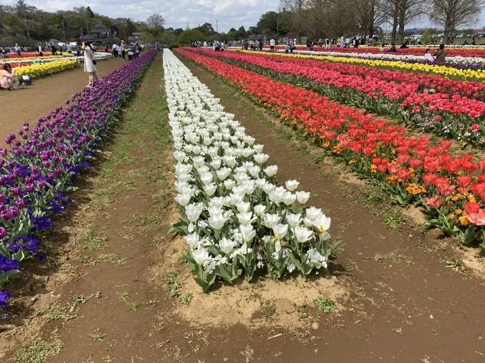 どんぐり北越谷/【お出かけ】あけぼの山農業公園に行きました！