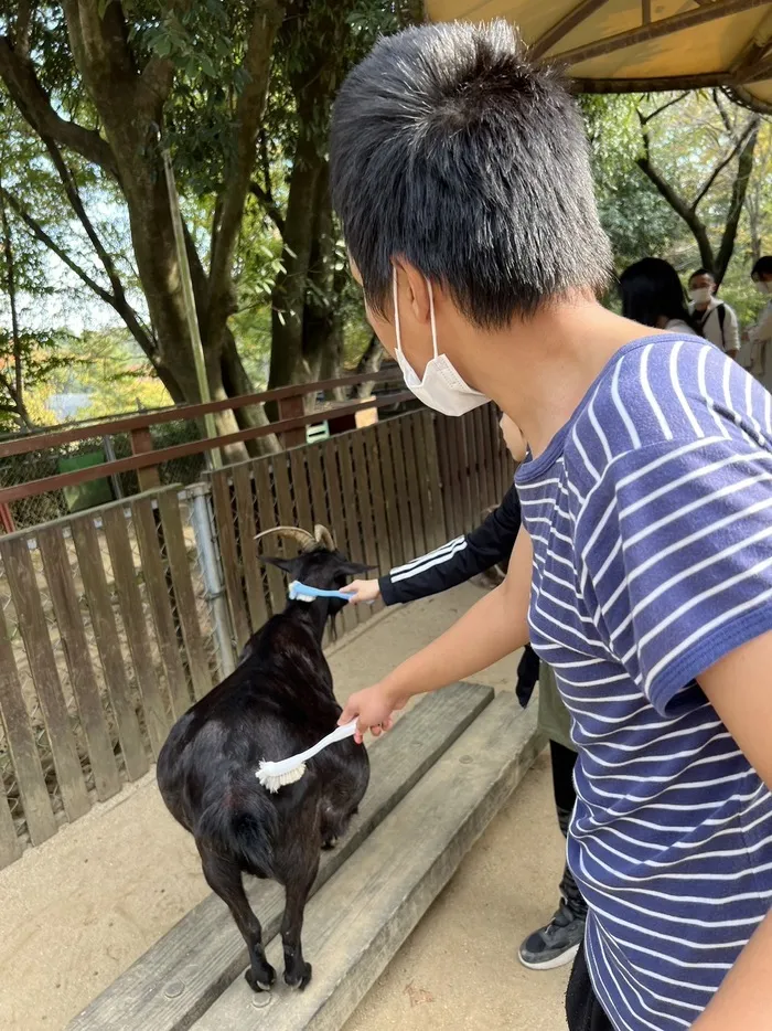 どんぐり北越谷/【お出かけ】埼玉県こども動物自然公園に行きました！