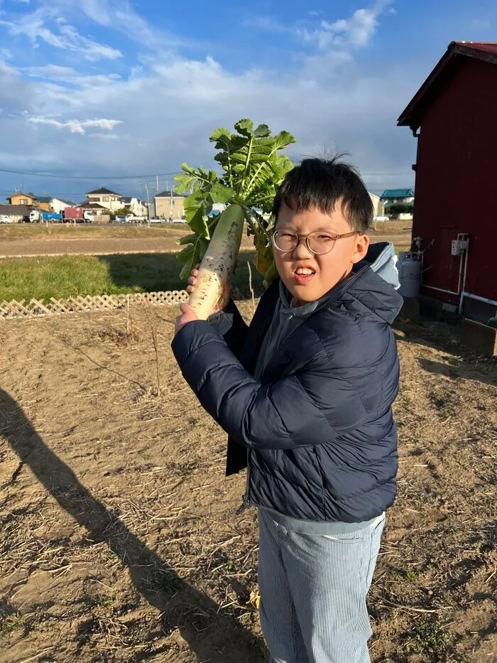 どんぐり北越谷/【野外活動】畑に行って大根を収穫しました!