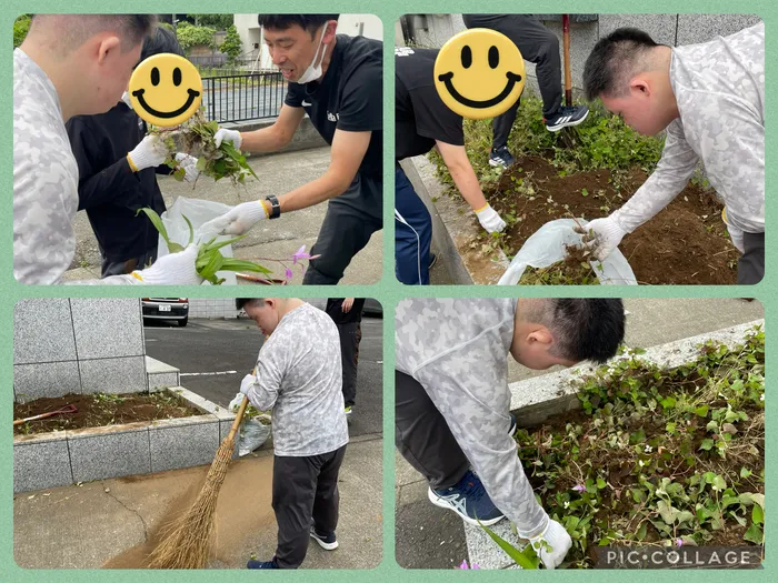 ステラプレナ/🌱‬‪草むしり🌱‬‪