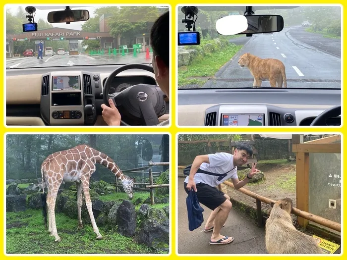 ステラプレナ/遠足の下見へ、、🗻🦁🦒👀