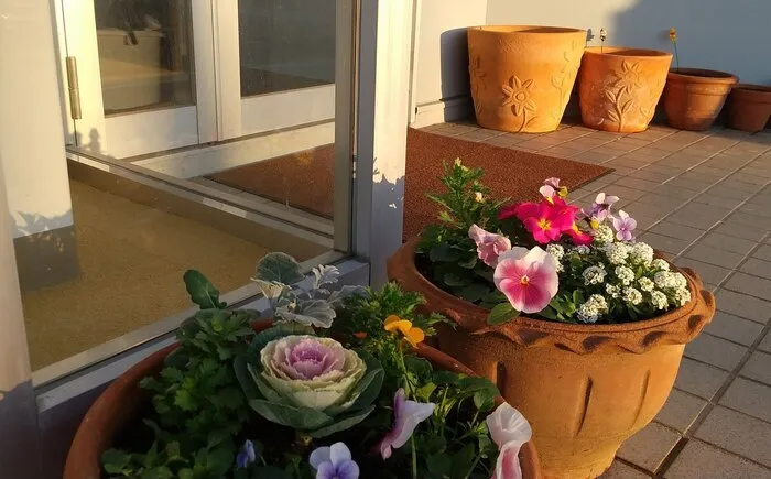 玄関のお花のお世話もできます。