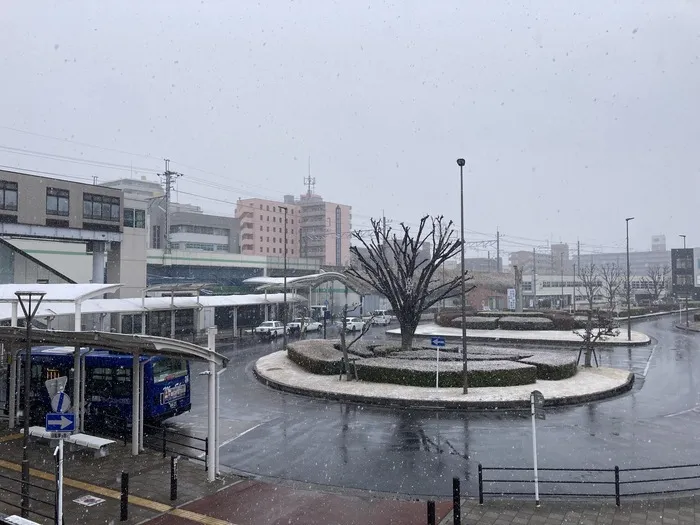 てらぴぁぽけっと　三郷駅前教室/三郷に初雪❄