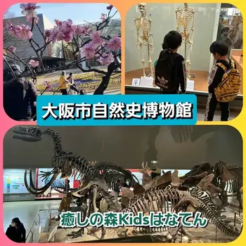 【遊びの中から社会性を育む】癒しの森Kids　はなてん/大阪市自然史博物館