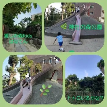 【遊びの中から社会性を育む】癒しの森Kids　はなてん/神社の公園にいきました。