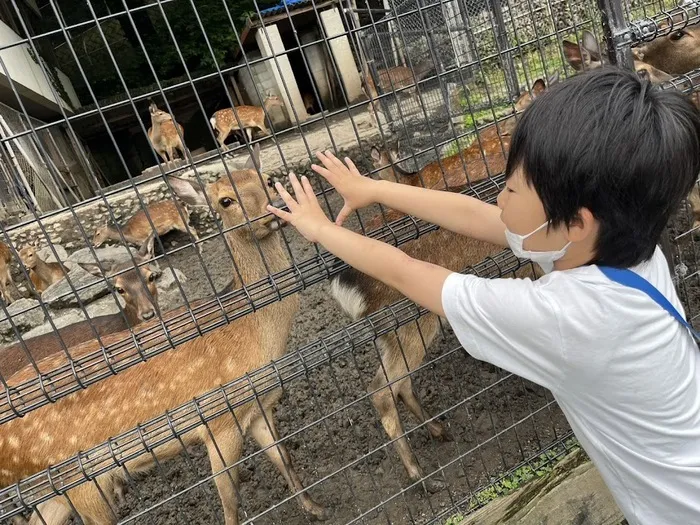 愛YOUわくわく広場/鹿島に行ったよ🦌