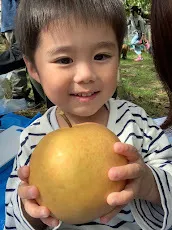 愛YOUわくわく広場/梨狩りへ行きました🍐