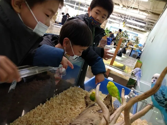 愛YOUわくわく広場/🐹いきものふれあい学校🐤