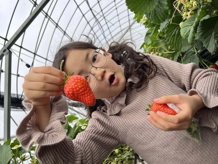 愛YOUわくわく広場/いちご狩りに行ったよ🍓（山越）