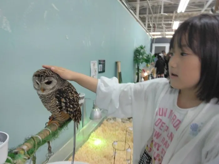 愛YOUわくわく広場/どうぶつふれあい学校に行ったよ！
