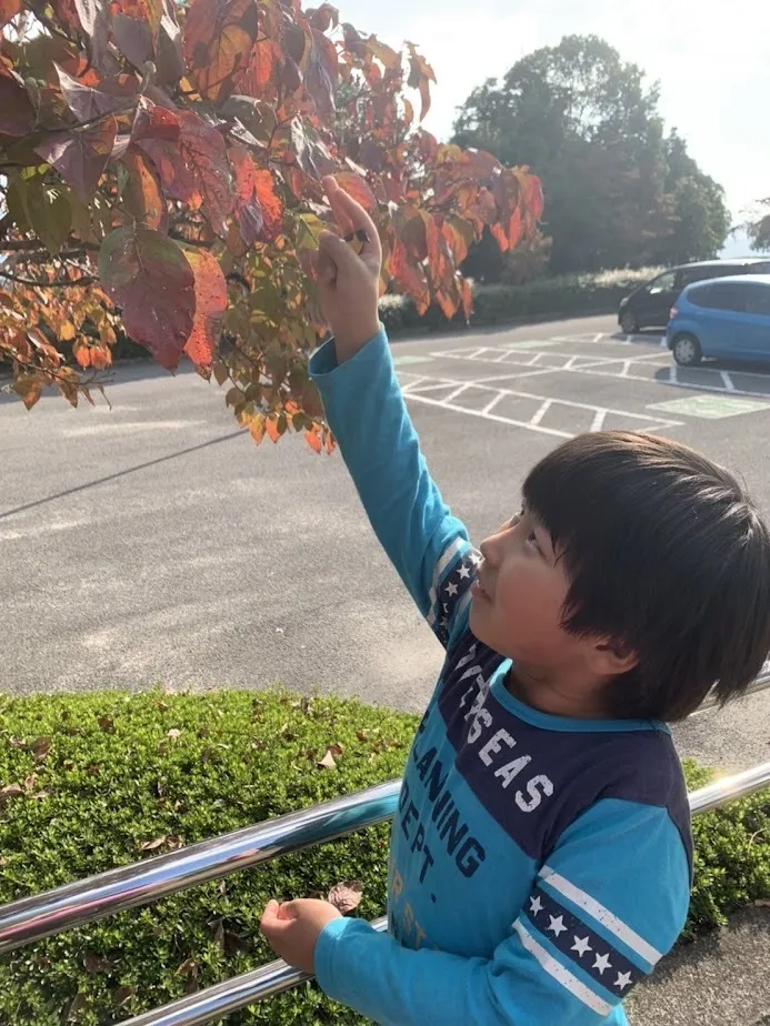 愛YOUわくわく広場/秋探し🍂