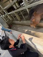 愛YOUわくわく広場/のまうまハイランドで遊んだよ🤩