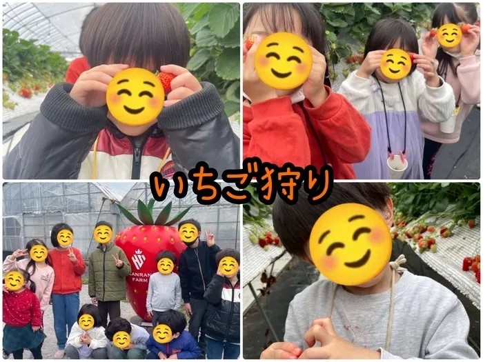 トイトイトイ 到津2号店/らんらんふぁーむで笑顔いっぱいのいちご狩り🍓
