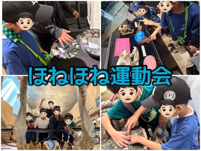 ブーフーウー2号館/ほねほね運動会