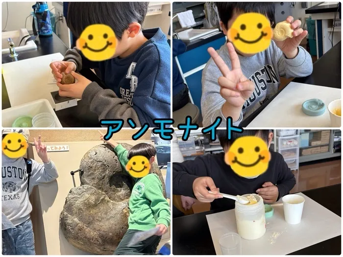 ブーフーウー2号館/自分だけのオリジナル🐌アンモナイト⭐️