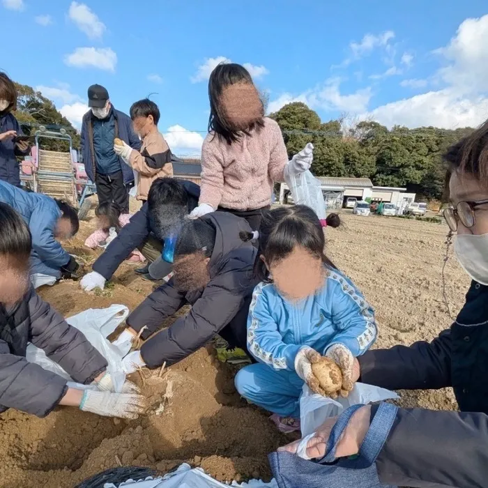 ブーフーウー2号館/１/１３(月)￤じゃがいも掘り🥔