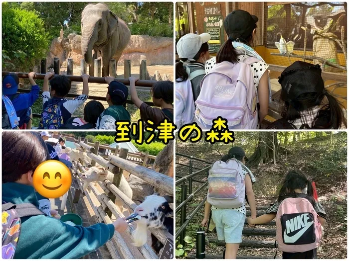 トイトイトイ井堀/動物に会ったよ🐘にぎやか遠足‼︎到津の森🦒
