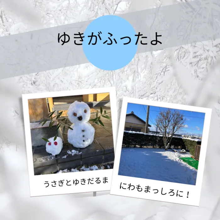 あおいそら/なんと雪国だー☃