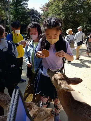 ライズ児童デイサービス楽音寺/近鉄電車に乗って奈良公園へ