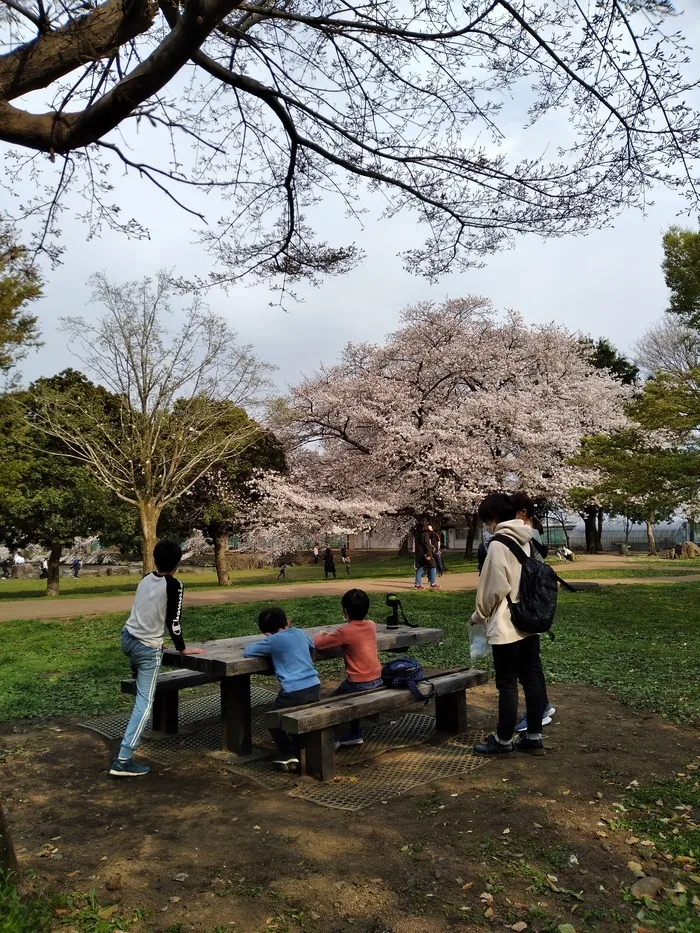 mana東うらわ教室/お花見🌸