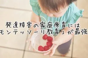 core kidsコアキッズ／core kidsコアキッズ　個別/コアキッズのモンテッソーリ療育について