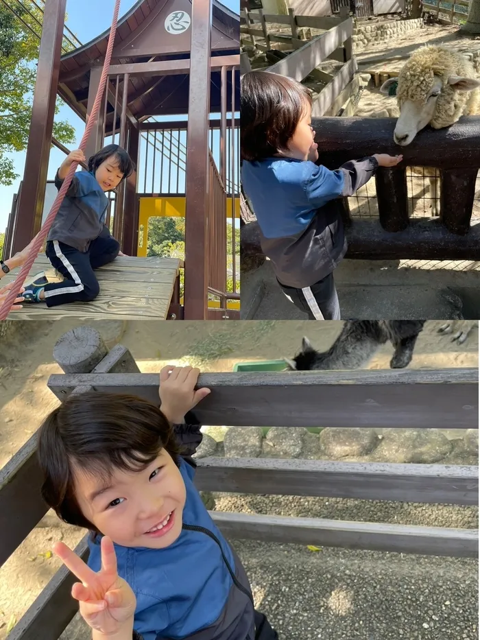 core kidsコアキッズ／core kidsコアキッズ　個別/五月山動物園へ🐏