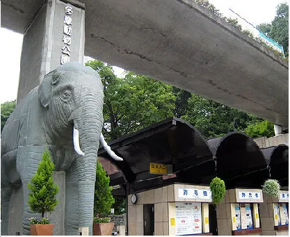 放課後デイサービスtoiro相模原/多摩動物公園へ行きました☆