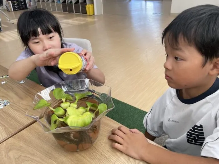 さわやか愛の家 おかざき館/日常の支援風景