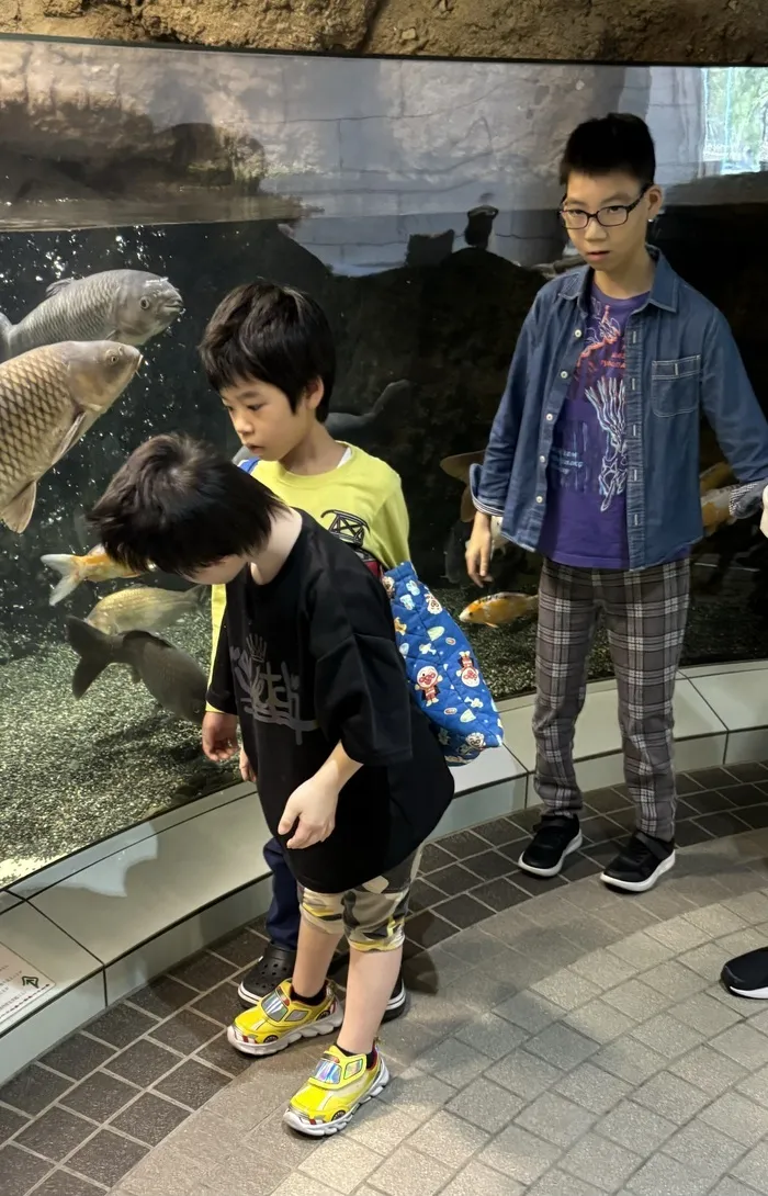 さわやか愛の家 おかざき館/水族館