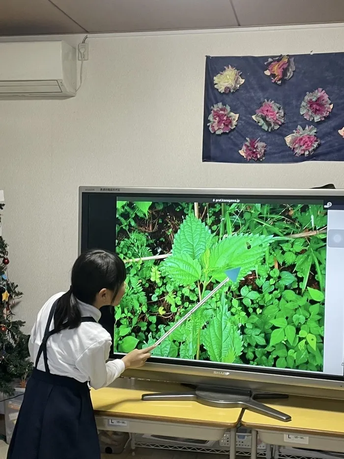 さわやか愛の家 さいだいじ弐番館/生き物みっけ！