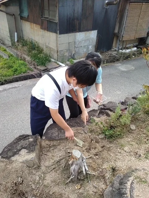 さわやか愛の家 せとうち館/チューリップの球根をうえました