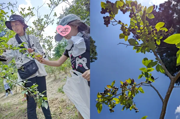 ドリームハウス中里/夏休みの思い出～ブルーベリー狩りをしよう☆～